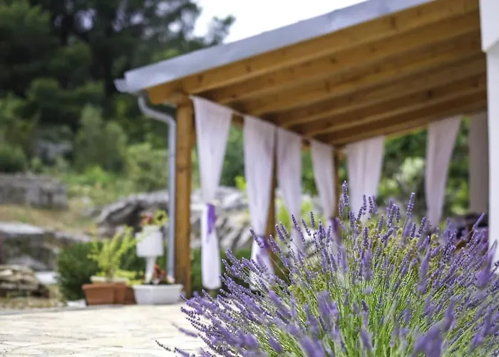 House Marie's Lavander Dream Holiday home